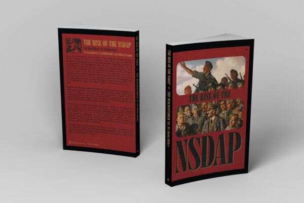 The rise of the nsdap - image 4