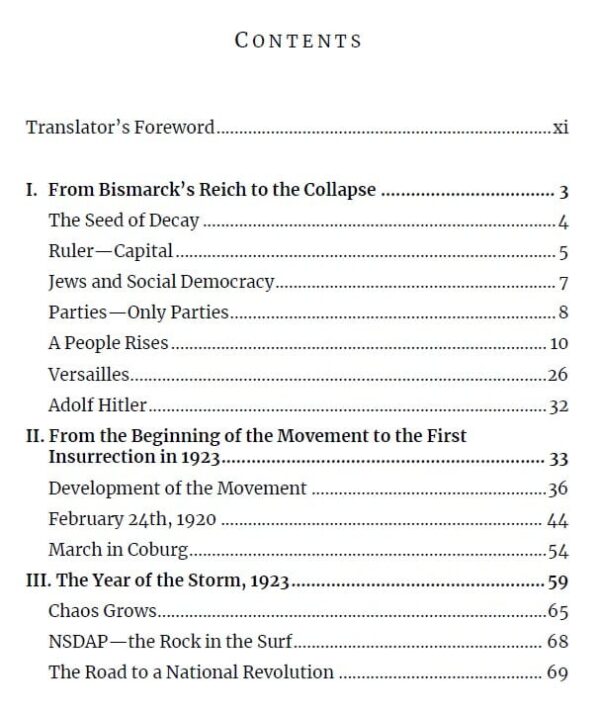 The rise of the nsdap - image 2