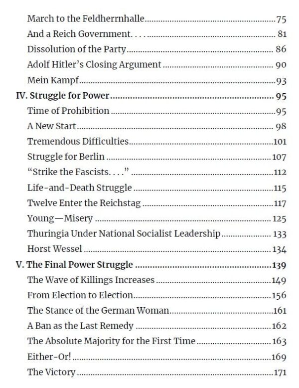 The rise of the nsdap - image 3