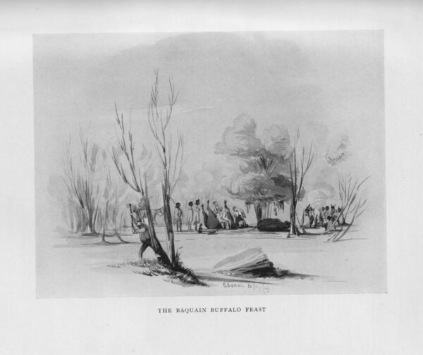 In the footsteps of livingstone - image 10